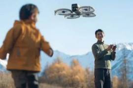 DJI Flip Fly More Combo (DJI RC 2)