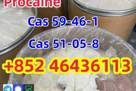 Cas 59-46-1 Procaine Powder For Sale With Safe Del