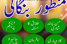 kala jadu expert, amil baba pakistan,03102163398, 