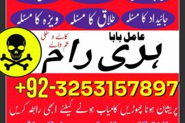 Amil baba in Indonesia astrologer in uk usa canada