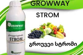 გროუვეი სტრომი  GROWWAY STROM   #სტრომი