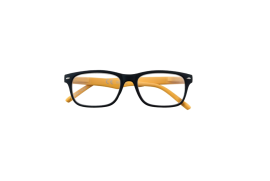 Zippo Reading Glasses +3.50