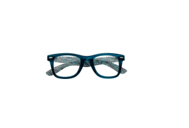 Zippo Reading Glasses +1.00