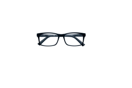 Zippo Reading Glasses +2.00