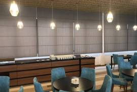 ჟალუზები