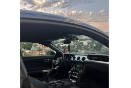 Auto / Moto, Special Equipment, Cars, Ford, Mustang