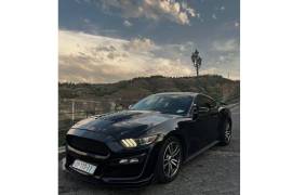 Auto / Moto, Special Equipment, Cars, Ford, Mustang