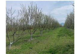 For Sale, Real Estate, Lands