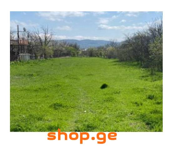 იყიდება, უძრავი ქონება, მიწის ნაკვეთები