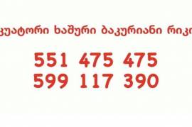 ხაშურიდან ნებისმიერი მიმართულებით !599117390