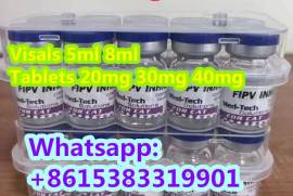 Cat medicine FIPV treatment FIP FIPV