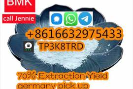high quality BMK Powder BMK oilCAS 5449-12-7 /718-