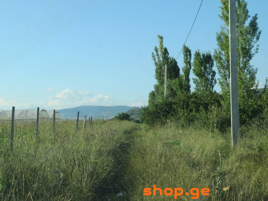 იყიდება, უძრავი ქონება, მიწის ნაკვეთები