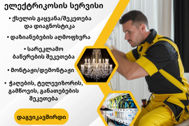 ელექტრიკოსი გამოძახებით