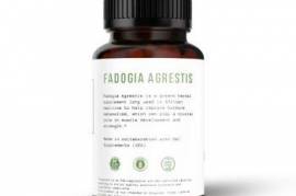 Fadogia Agrestis – ფადოგია აგრესტისი (60pcs)