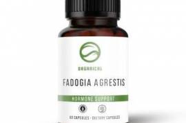 Fadogia Agrestis – ფადოგია აგრესტისი (60pcs)