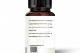 Garcinia Cambogia – გარცინია კამბოჯია (120pcs)