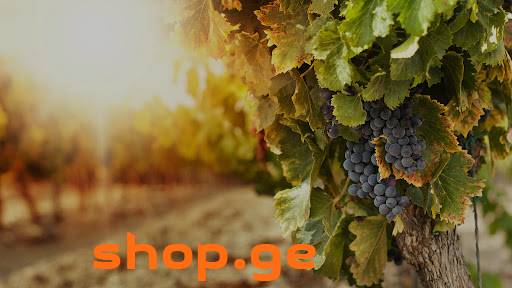 Share of a wine business/factory project for sale