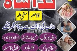 karachi #1 Amil baba in kuwait, dubai, italy, oman