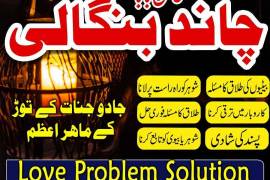 Vashikaran Specialist  Love Vashikaran  Powerful V