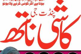Top Amil baba Bangali Kala jadu expert specialist 