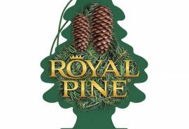 Traditional “Royal Pine”
