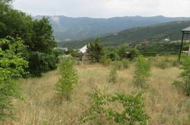 იყიდება, უძრავი ქონება, მიწის ნაკვეთები