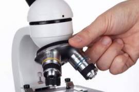 AmScope M150 LED Monocular Student Microscope - 40