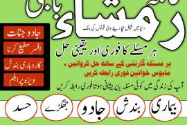 Amil in canada amil baba in uk amil baba famous.