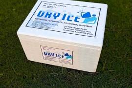 მშრალი ყინული dry ice #მშრალიყინული #dryice#ყინული