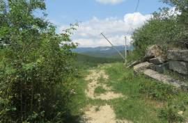 იყიდება, უძრავი ქონება, მიწის ნაკვეთები