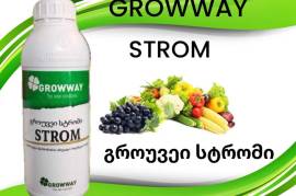  გროუვეი სტრომი  #GROWWAY#STROM 