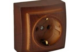 ალუბლისფერი როზეტი დამიწებით