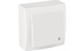 თეთრი ჩამრთველი ღილაკი გარე მონტაჟი