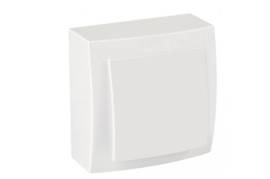 თეთრი ჩამრთველი 1-ნი