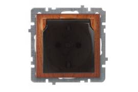 ალუბლისფერი როზეტი დამიწებით თავსახურით ჩარჩოს გარ