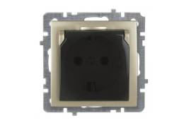 ოქროსფერი როზეტი დამიწებით თავსახურით ჩარჩოს გარეშ