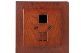 ალუბლისფერი როზეტი კომპიუტერი + ტელეფონი ცარიელი (