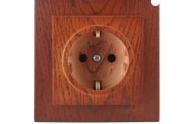 ალუბლისფერი როზეტი დამიწებით