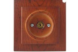 ალუბლისფერი ტელევიზორის როზეტი გარდამავალი