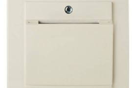 ელექტროენერგიის შემნახველი კრემისფერი გადამრთველი 