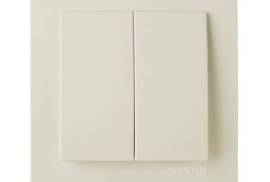 კრემისფერი ჩამრთველი 2-ნი