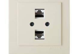 კომპიუტერის კრემისფერი როზეტი 2-ნი