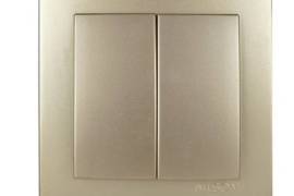 ოქროსფერი ჩამრთველი 2-ნი