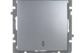 ვერცხლისფერი ჩამრთველი რევერსი