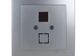 ვერცხლისფერი როზეტი კომპ. + ტელ.