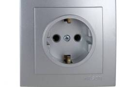 ვერცხლისფერი როზეტი დამიწებით