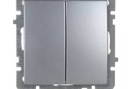 2-ნი ვერცხლისფერი ჩამრთველი