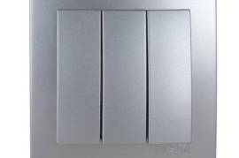 ვერცხლისფერი ჩამრთველი 3-ნი