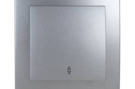 ვერცხლისფერი ჩამრთველი 1-ანი რევერსული